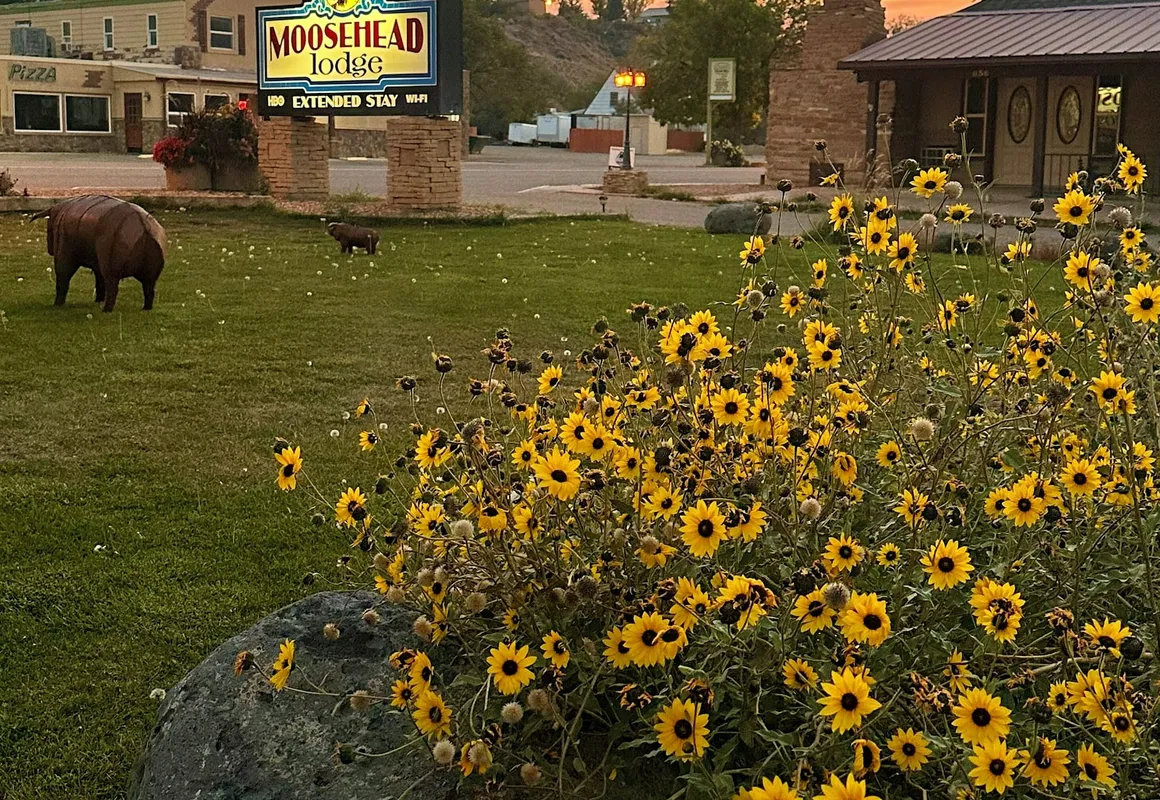 Moosehead Lodge & Cabins hotel hero