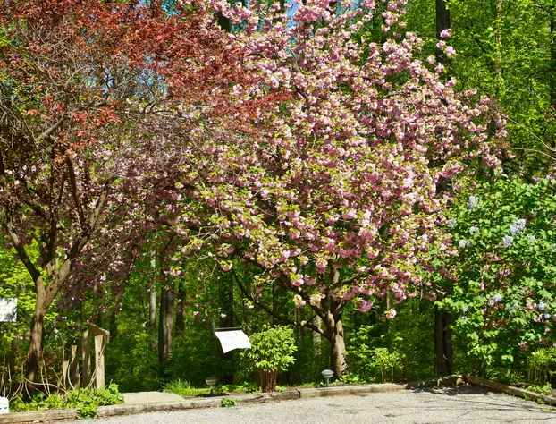 Pilgrims Rest Bed and Breakfast hotel detail image 3