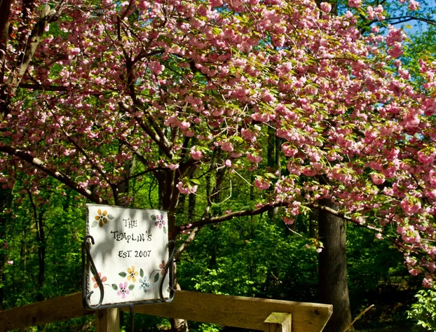 Pilgrims Rest Bed and Breakfast hotel detail image 4