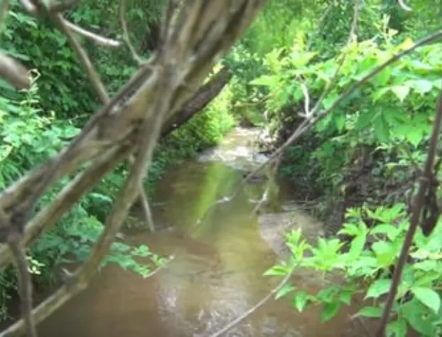 Belle Meade Bed and Breakfast hotel detail image 4