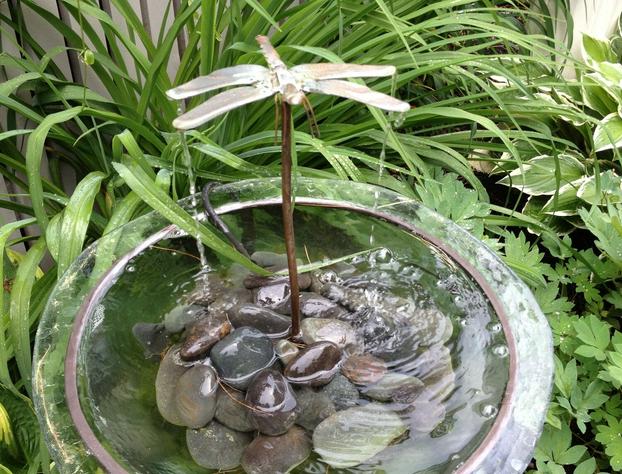 Dragonfly Guest House hotel detail image 3