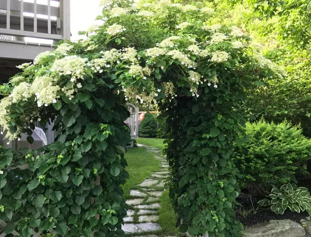 Dragonfly Guest House hotel detail image 2