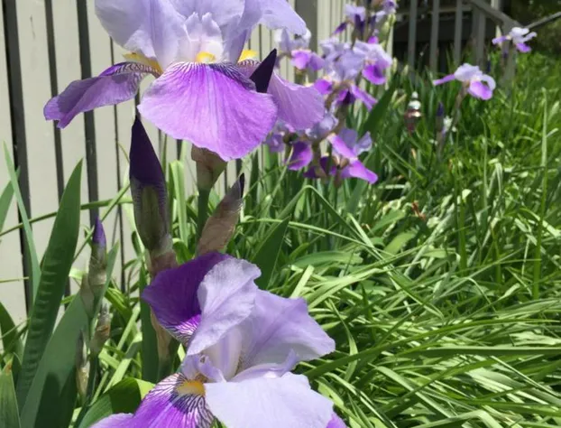 Dragonfly Guest House hotel detail image 3