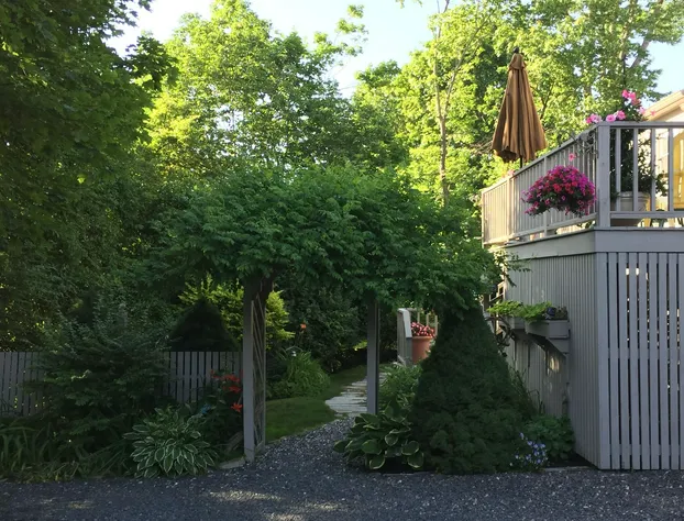 Dragonfly Guest House hotel detail image 1