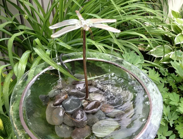 Dragonfly Guest House hotel detail image 2