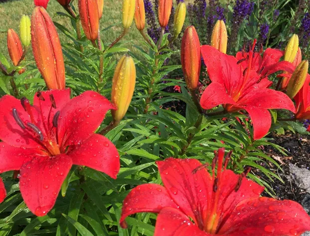 Dragonfly Guest House hotel detail image 4