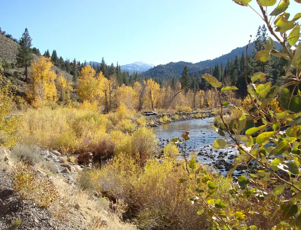 Where Eagles Fly Bed & Breakfast hotel detail image 4