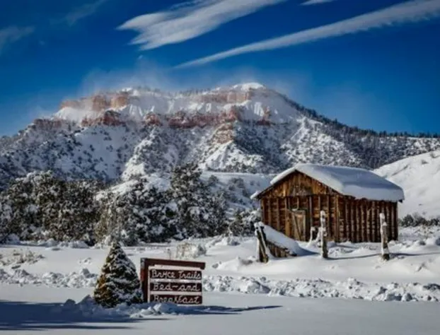 Bryce Trails Bed and Breakfast hotel detail image 3