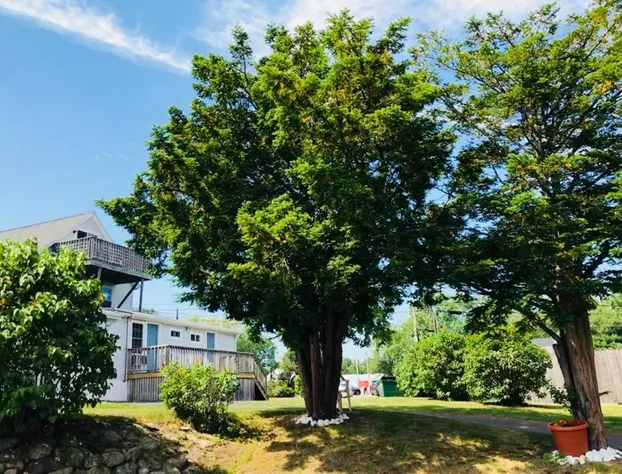 Wells Moody Motel hotel detail image 3