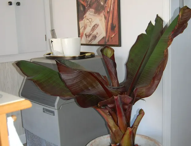 Northwoods Inn LLC hotel detail image 3