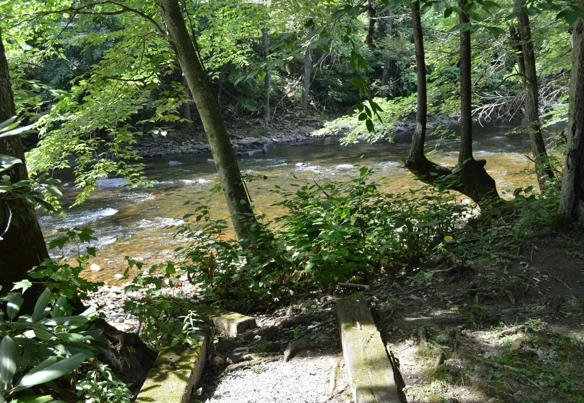 Cheat River Lodge and Cabins hotel hero