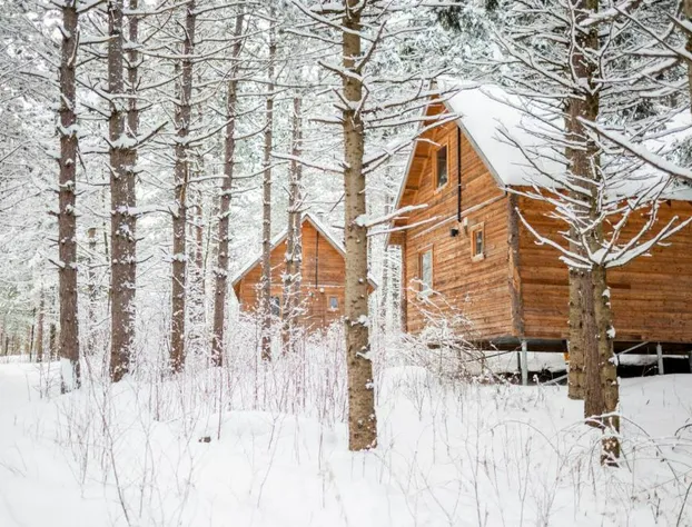 Huttopia White Mountains hotel detail image 2