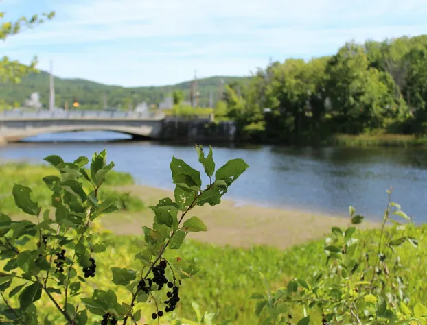 Hotel Rumford hotel detail image 2