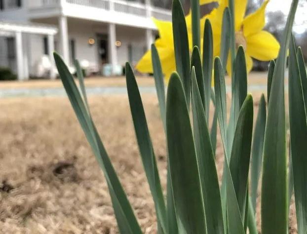 Bonne Terre Inn hotel detail image 2
