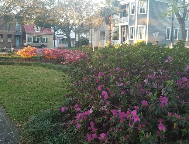 Green Palm Inn hotel detail image 3