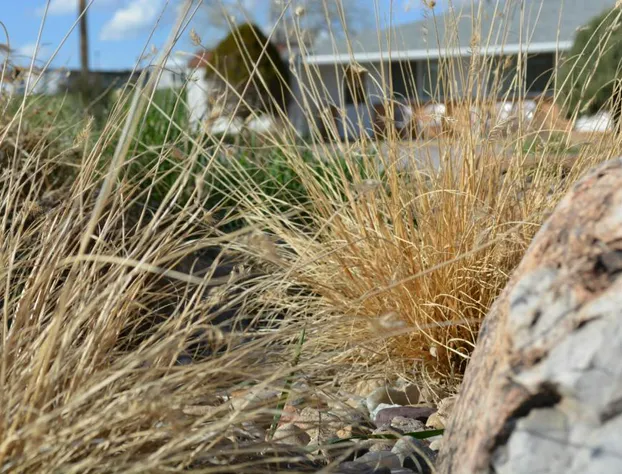 Sage Motel hotel detail image 2