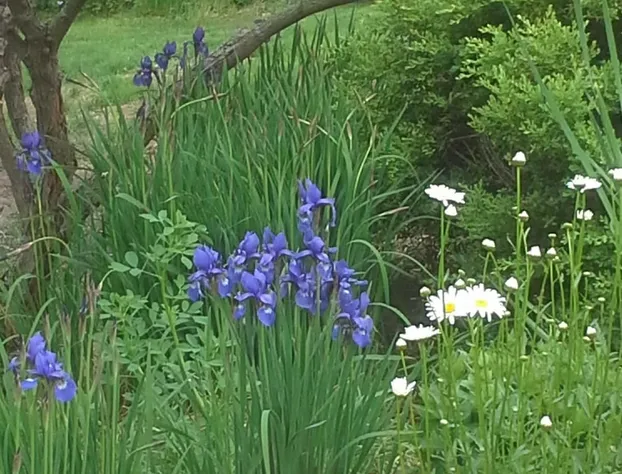 Loya's Little House Bed & Breakfast hotel detail image 2