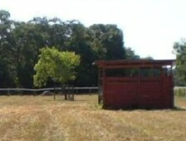 Grandeur Farm Equine Retreat hotel detail image 2