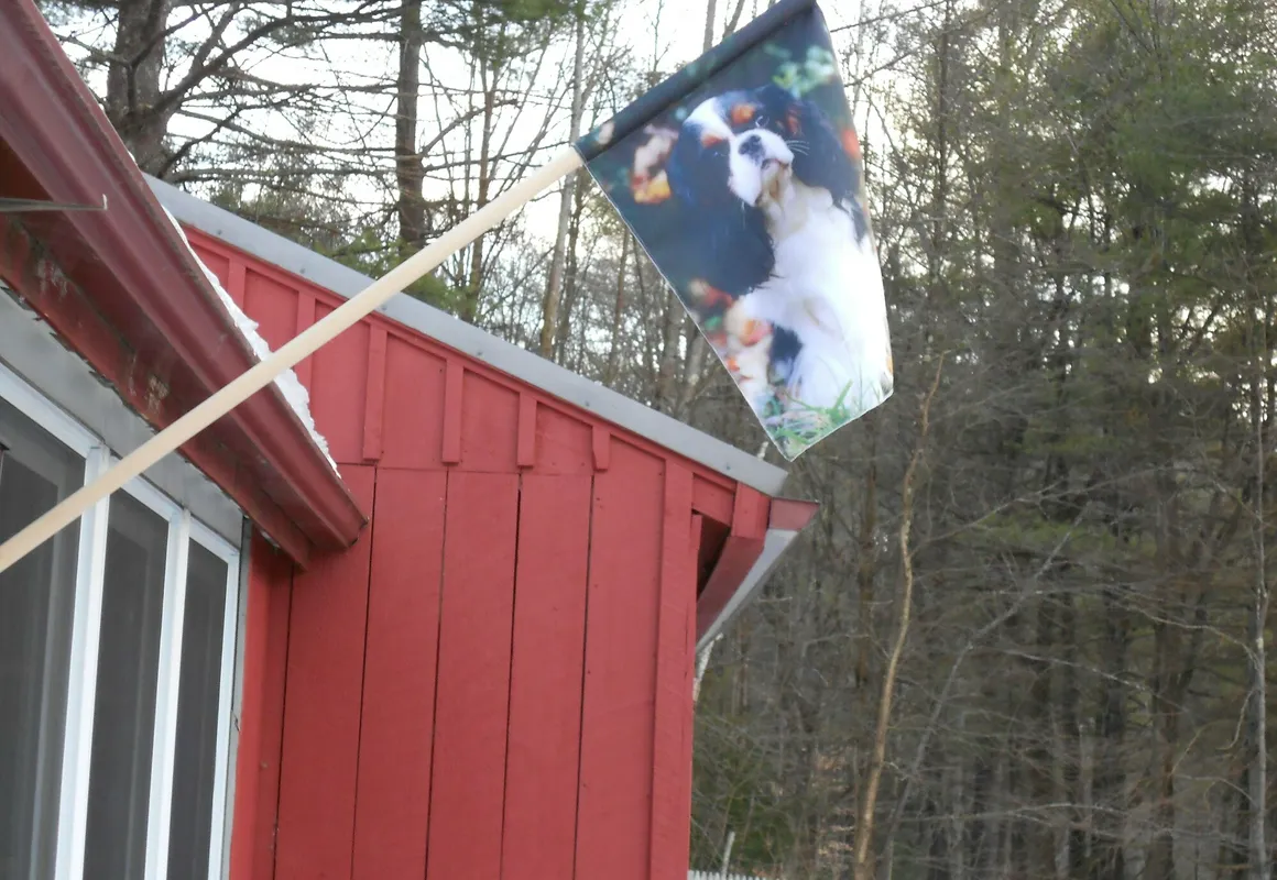 Cavalier Cottage B&B hotel hero