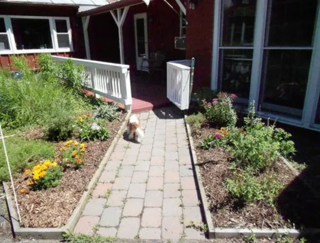 Cavalier Cottage B&B hotel detail image 4