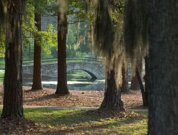 Little Ocmulgee State Park and Lodge hotel detail image 4