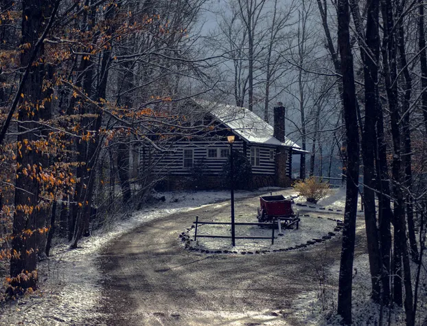 Nolichuckey Bluffs Cabins hotel detail image 1