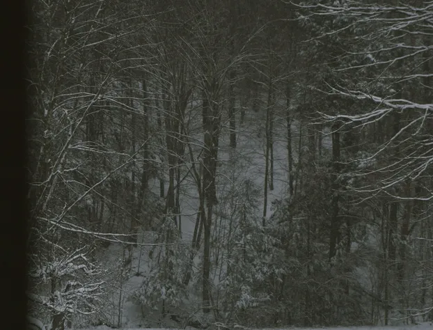 Harvest Barn Inn hotel detail image 3