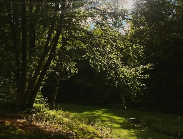 Harvest Barn Inn hotel detail image 4