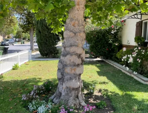 Summer Leaf hotel detail image 1