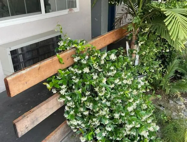 Westward Wagon Inn Theme Park Entrance hotel detail image 2