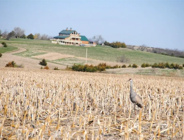 ReWild Ranch hotel detail image 2