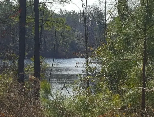 Temple in the Woods hotel detail image 4