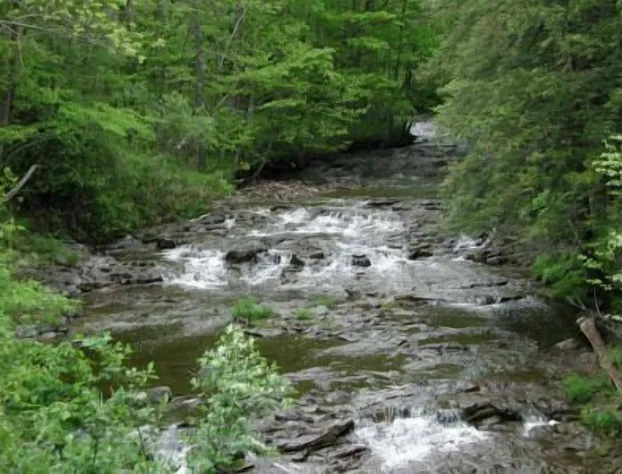 CliffSide by The Falls hotel detail image 3
