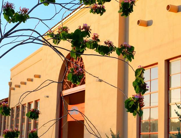 Sonoran Desert Inn & Conference Center hotel detail image 1