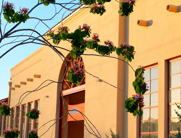 Sonoran Desert Inn & Conference Center hotel detail image 1