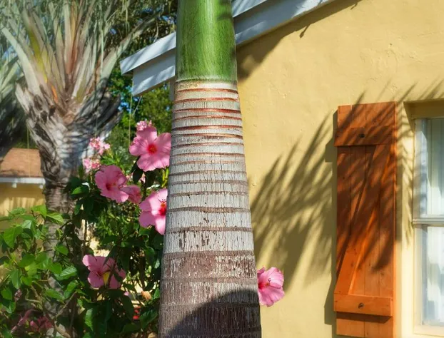 Atlantic Hideaway hotel detail image 3