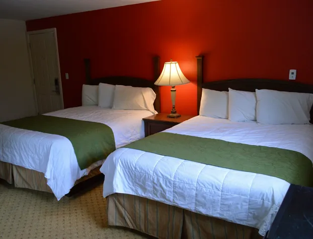 Monnie Lynn Motel hotel detail image 3