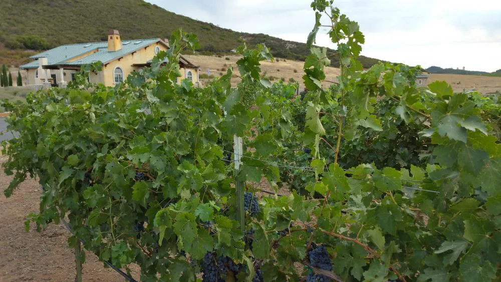 Thorn Hill Vineyard Villas hotel hero