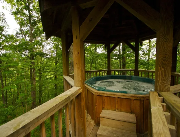 Gatlinburg Adventure Cabins hotel detail image 3