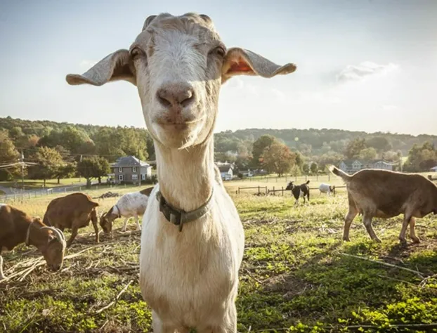 Frush Farm Bed & Breakfast hotel detail image 2