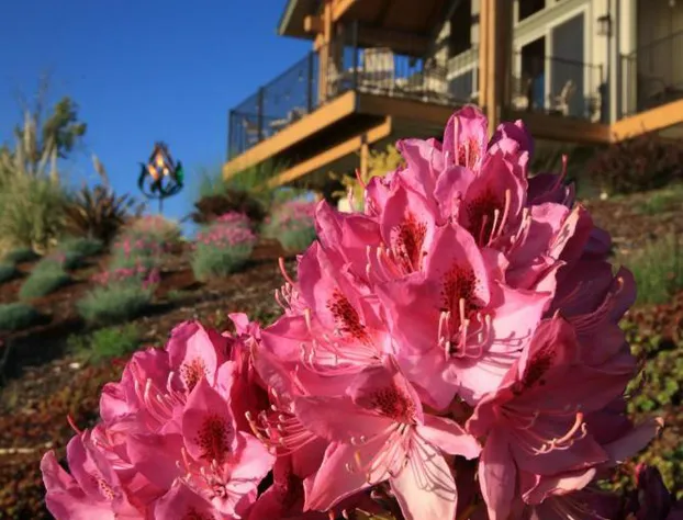 Bella Collina Bed & Breakfast hotel detail image 4