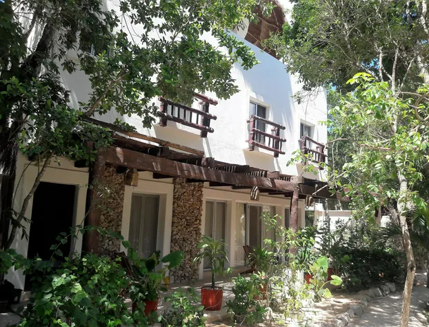 Jungle Secrets Riviera Maya hotel detail image 1