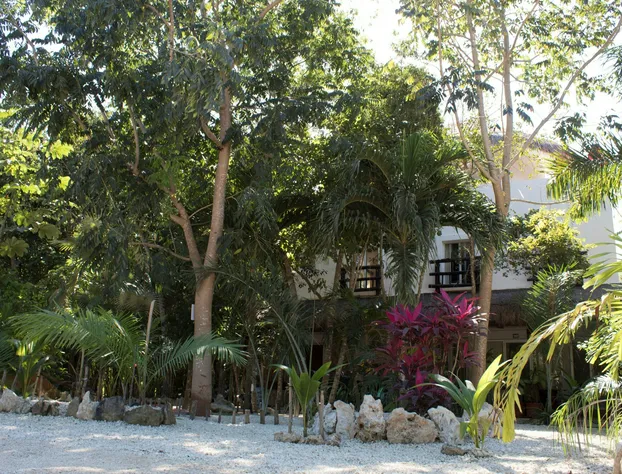 Jungle Secrets Riviera Maya hotel detail image 3