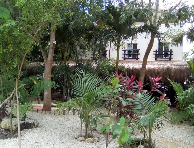 Jungle Secrets Riviera Maya hotel detail image 4