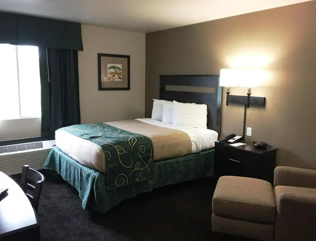 Travelodge by Wyndham Edgemont hotel detail image 4