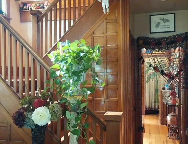 Oasis Bed and Breakfast hotel detail image 4