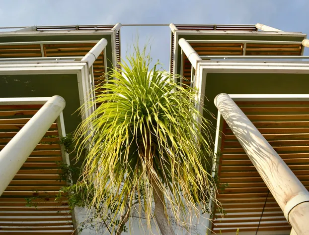 Donaire Hotel Boutique hotel detail image 4