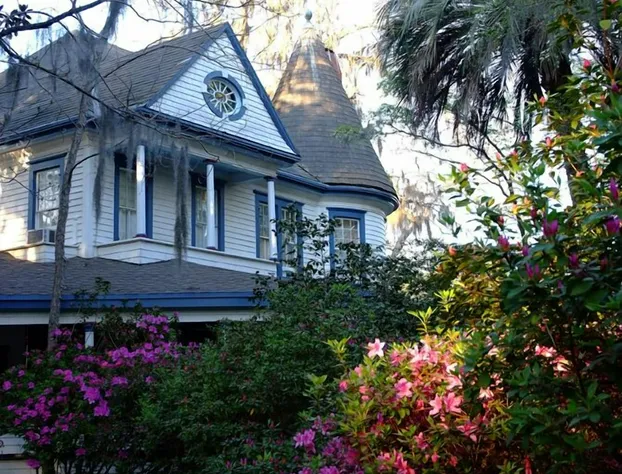 Daffodale House B&B hotel detail image 2