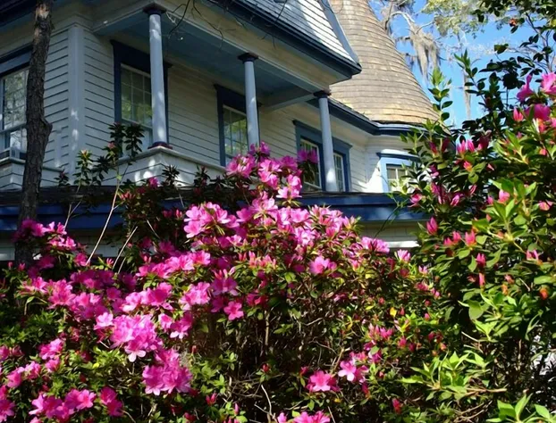 Daffodale House B&B hotel detail image 4