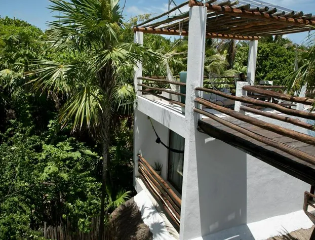 Residencia Gorila hotel detail image 3